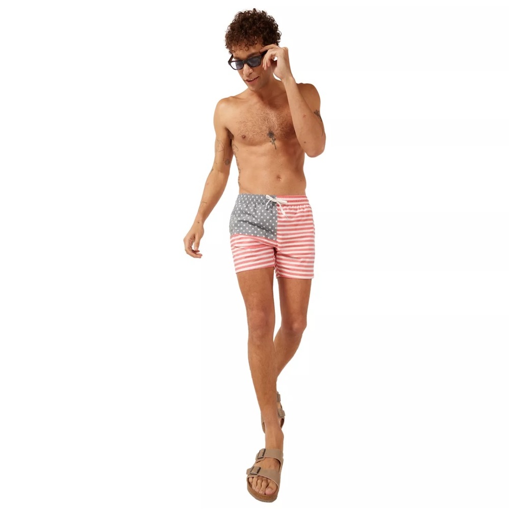 Chubbies 🇺🇸 swim trunks 5.5 in.